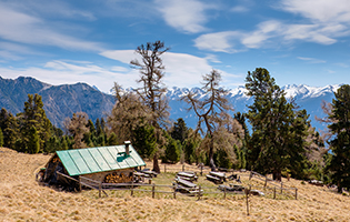 Thumbnail Placeholder