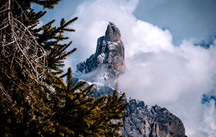 Thumbnail Placeholder